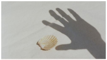 Manifestation Planner