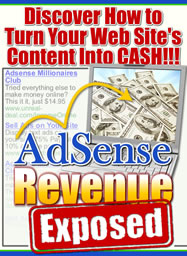 AdSense Revenue Exposed 